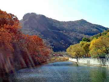 澳门二四六天天免费好材料，杨过重生在都市